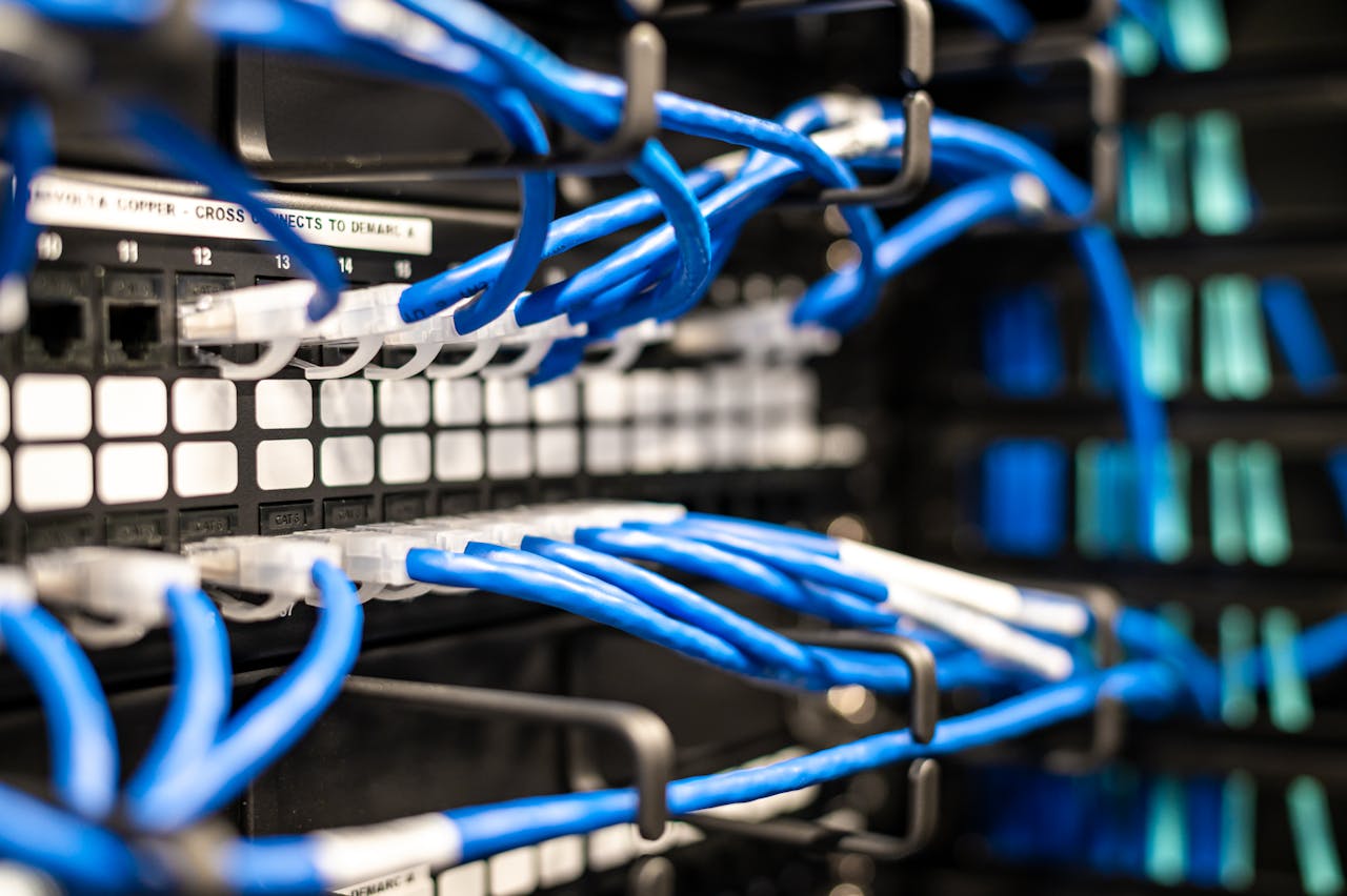 services-04 Blue plastic wires with white tips connected to server and provide access to information